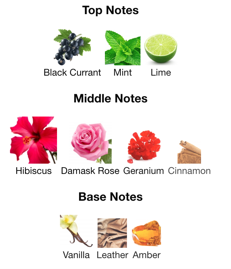 Ibisco Nirvana (Inspired by Hibiscus Mahajad)