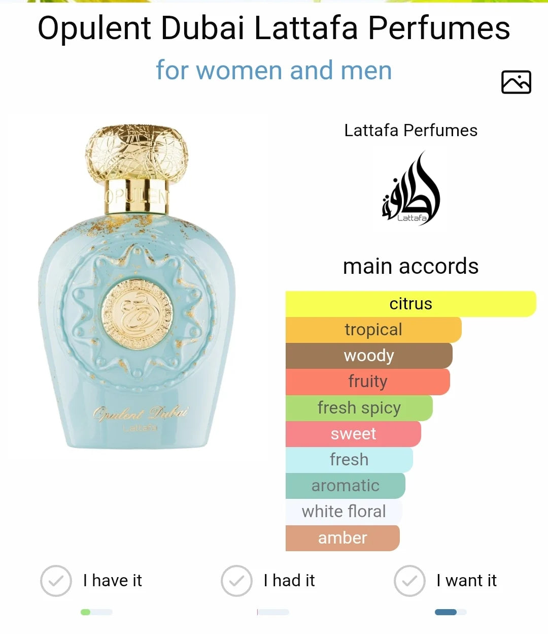 Opulent Dubai Lattafa EDP 100ml